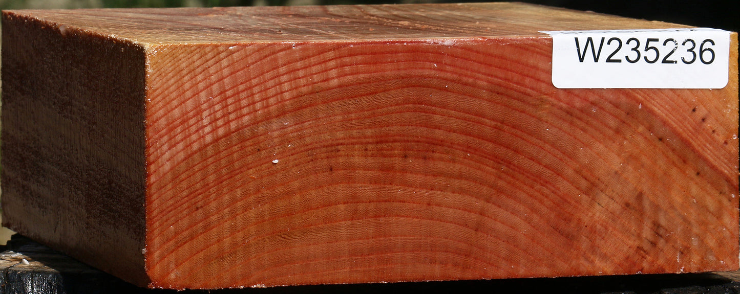 Zelkova Bowl Blank