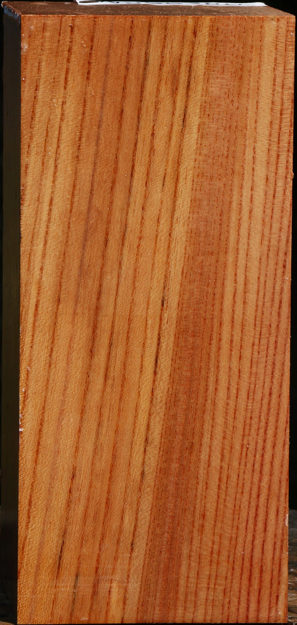 Zelkova Turning Square