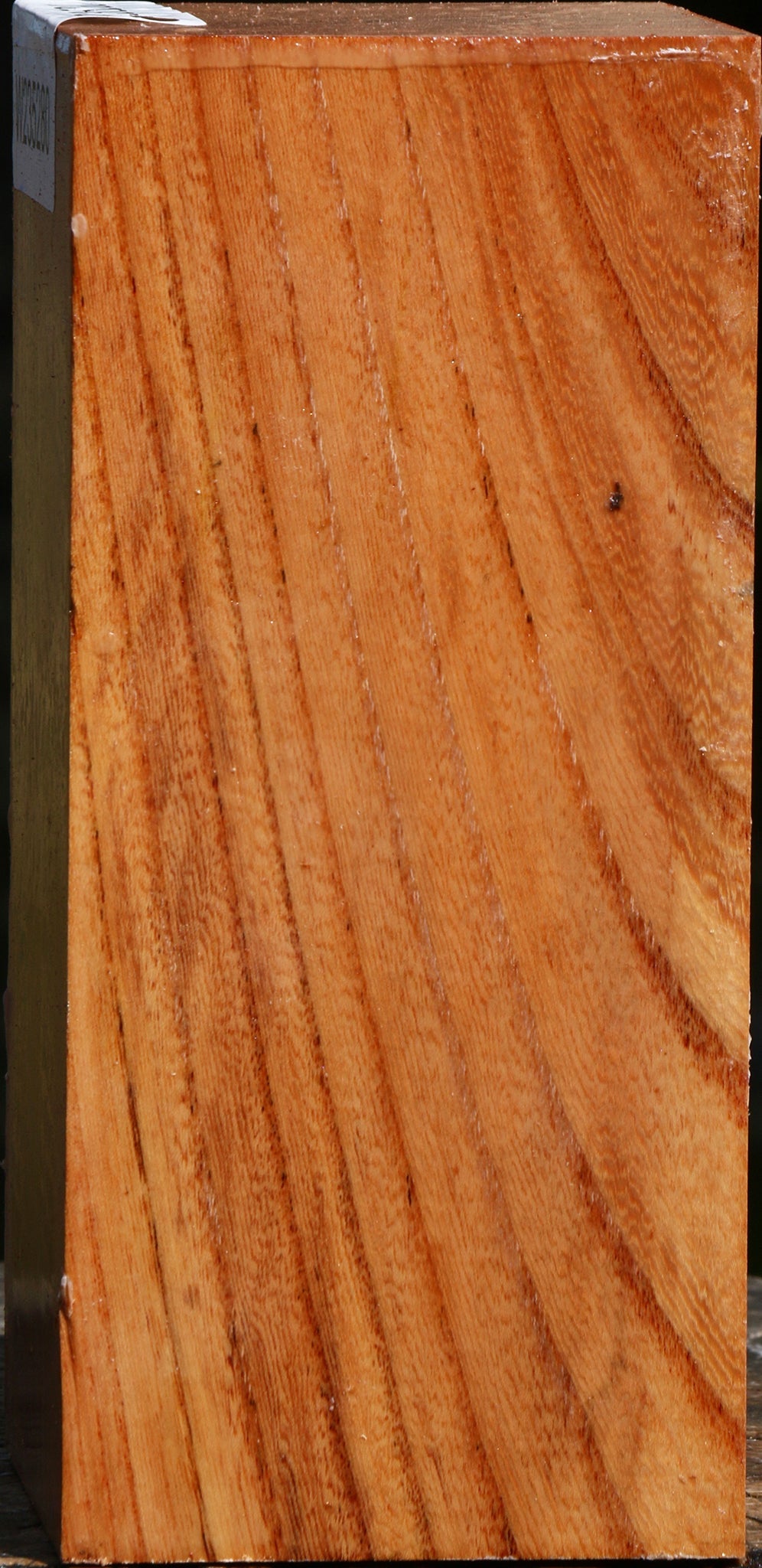 Zelkova Turning Square