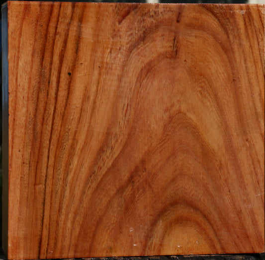 Zelkova Bowl Blank