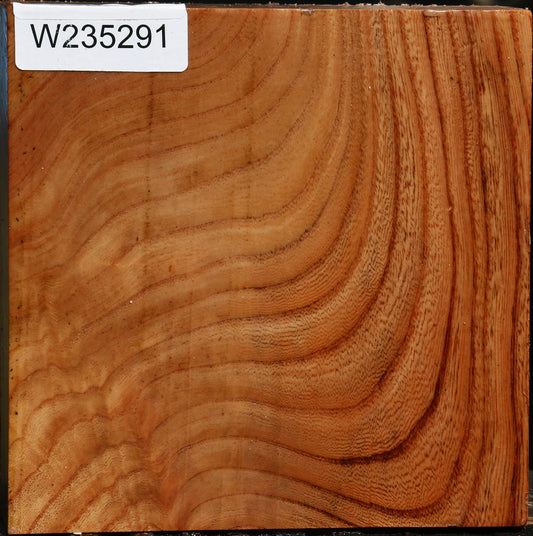 Figured Zelkova Bowl Blank