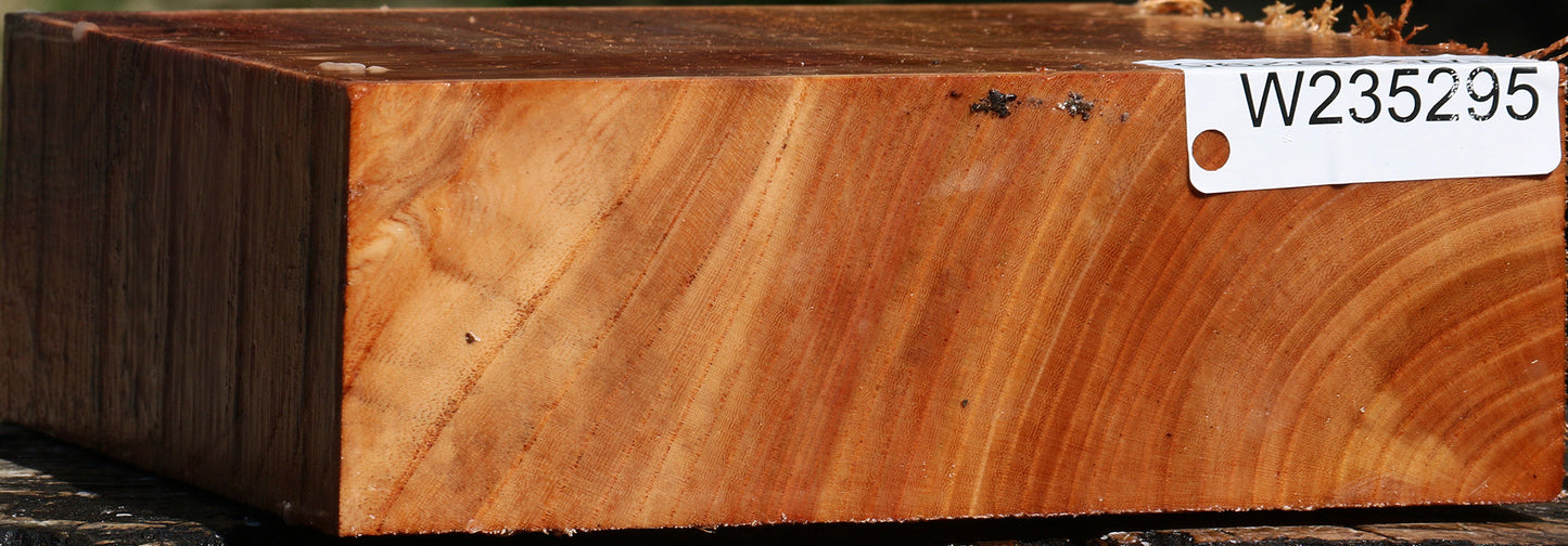Zelkova Bowl Blank