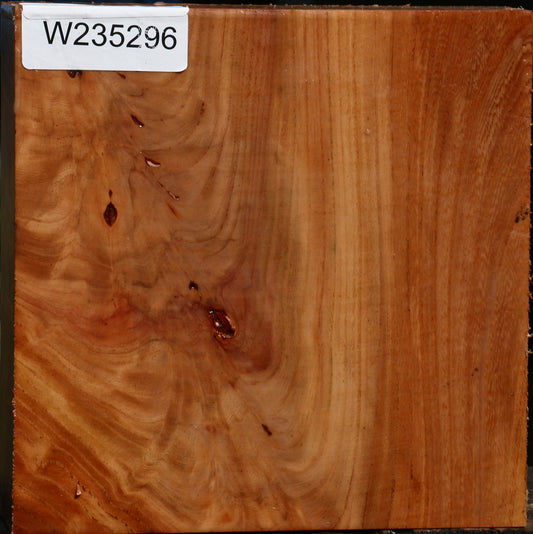 Extra Fancy Zelkova Bowl Blank