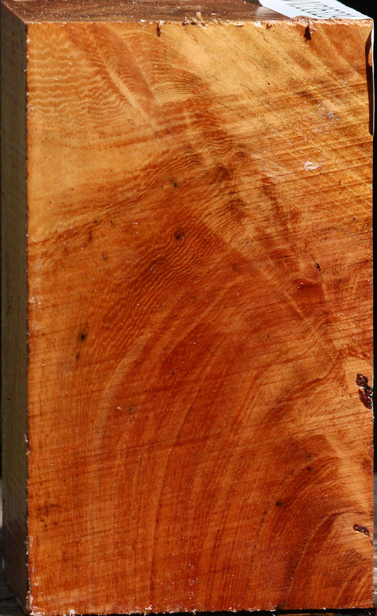 Extra Fancy Zelkova Turning Blank