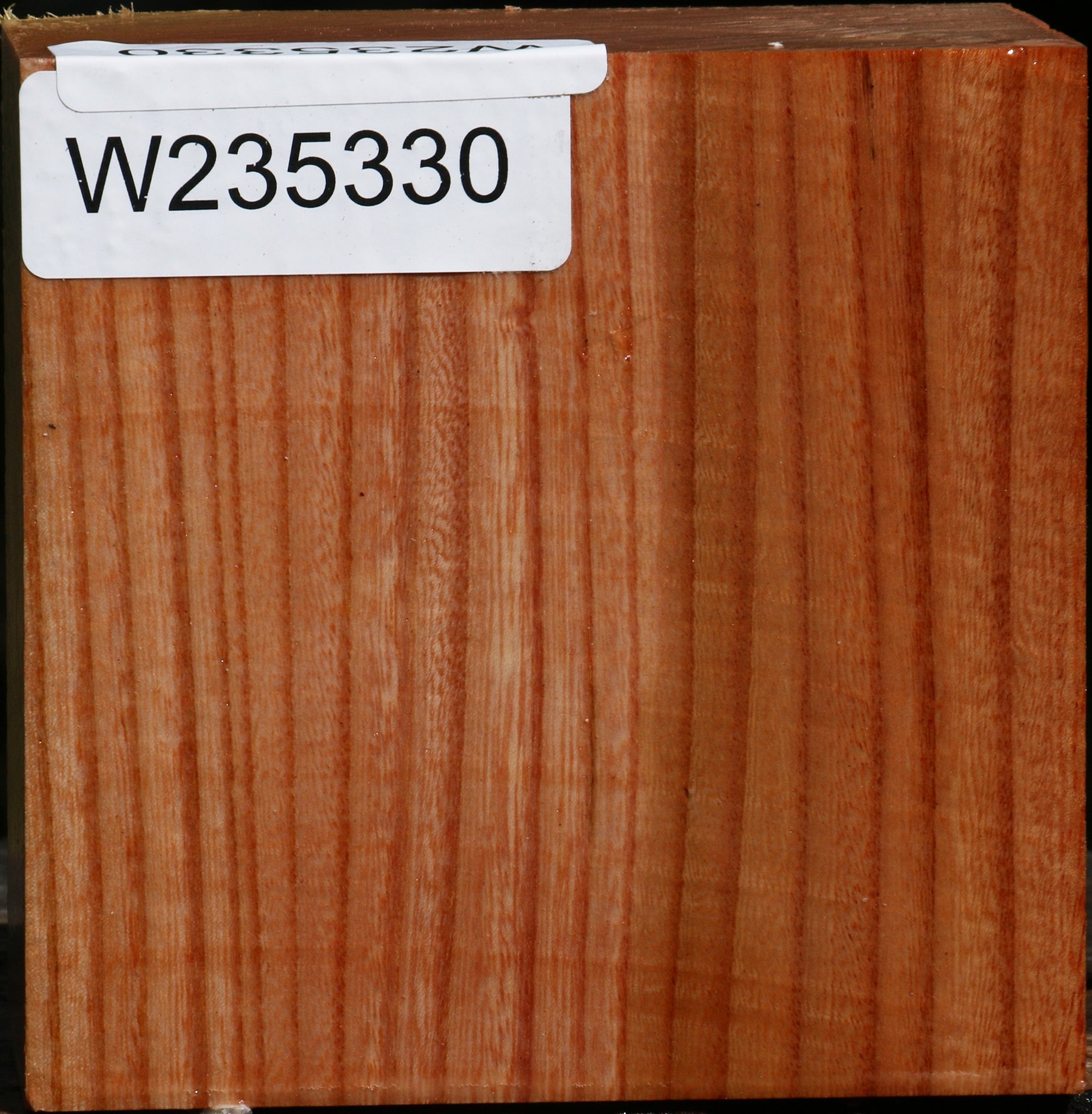 Zelkova Bowl Blank – Cook Woods