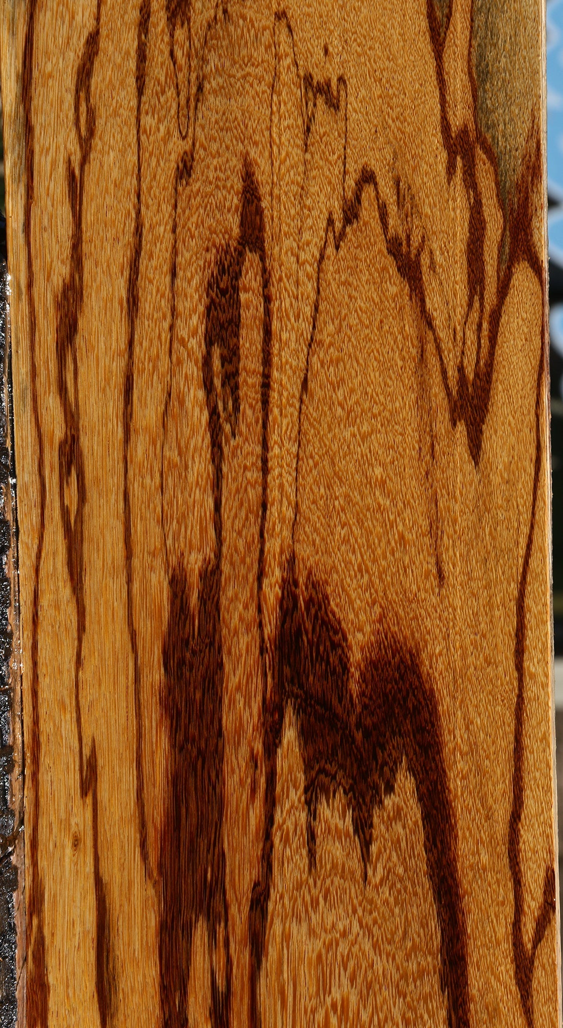 Extra Fancy Marblewood Lumber