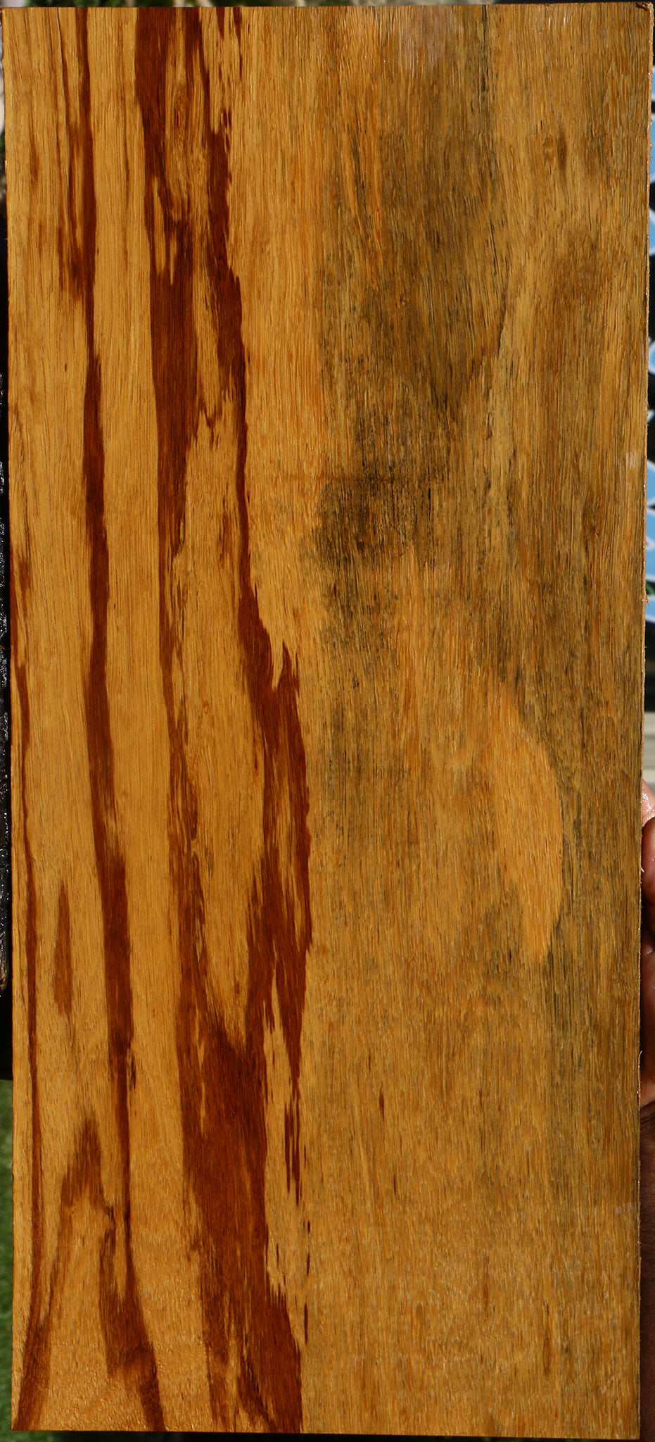 Marblewood Instrument Lumber