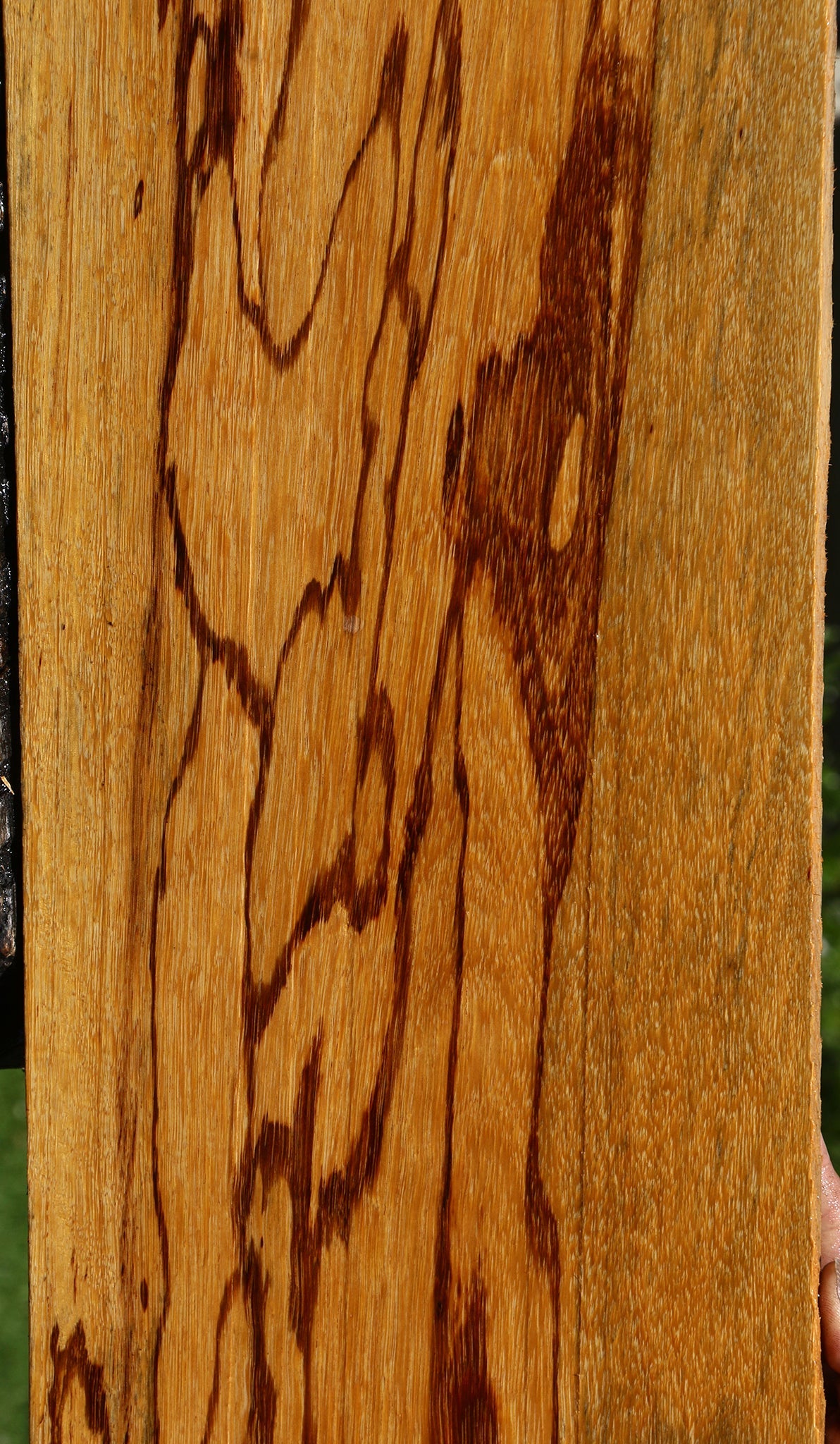 Extra Fancy Marblewood Lumber
