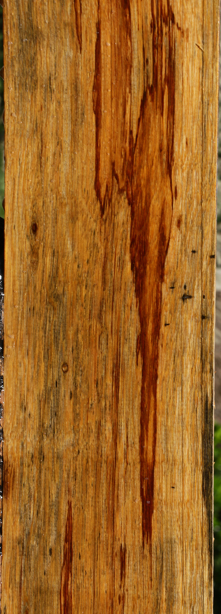 Marblewood Lumber