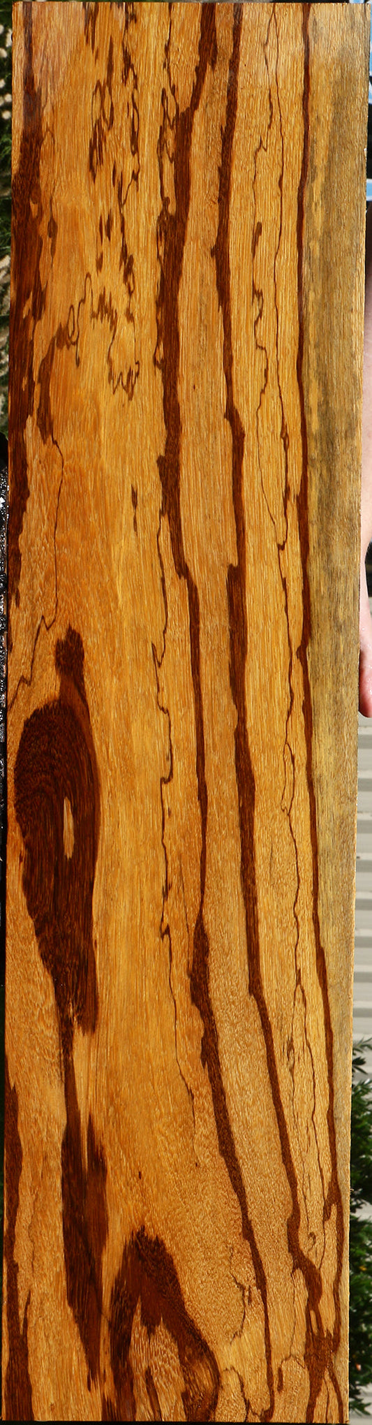 Extra Fancy Marblewood Instrument Lumber