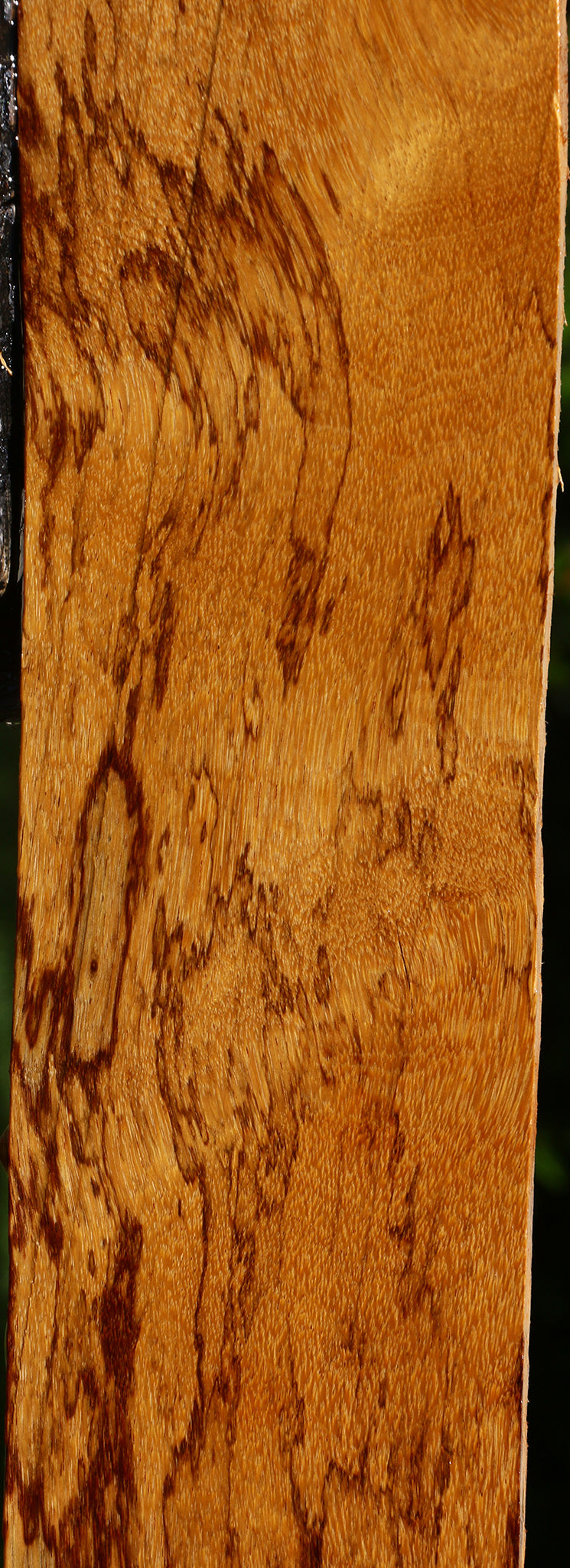 Extra Fancy Marblewood Lumber