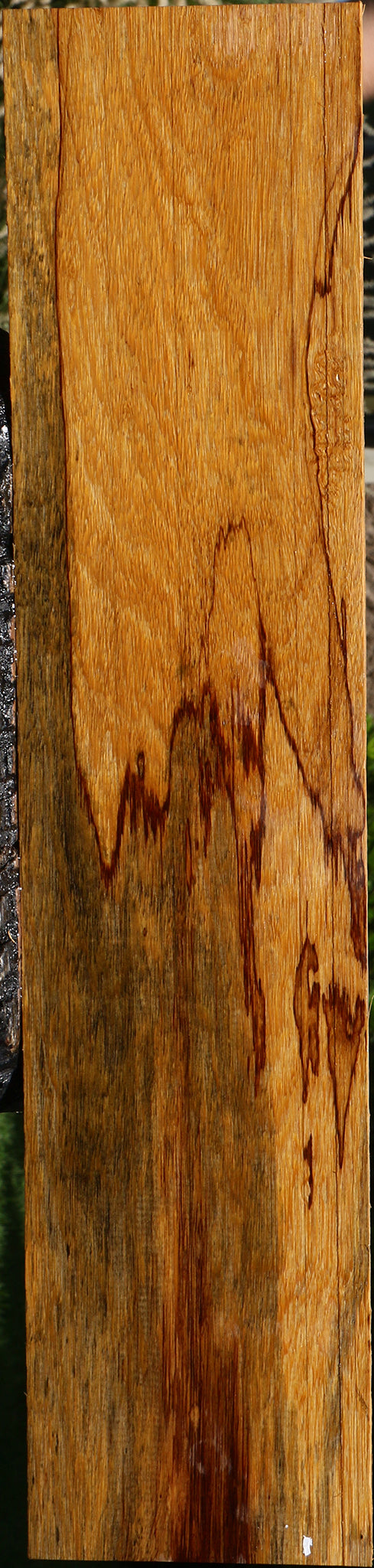 Figured Marblewood Lumber