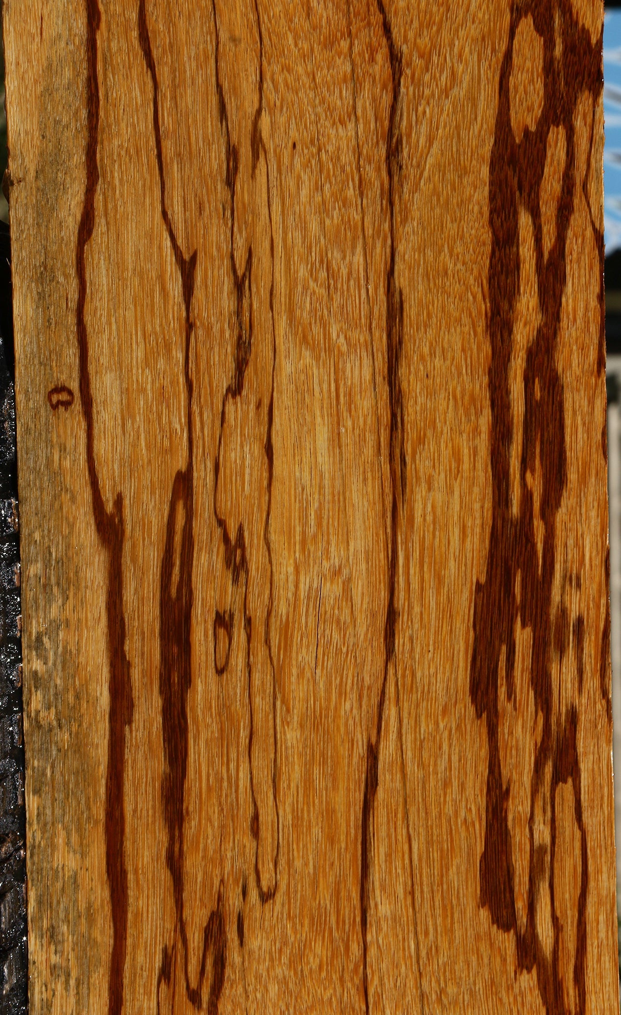Extra Fancy Marblewood Instrument Lumber