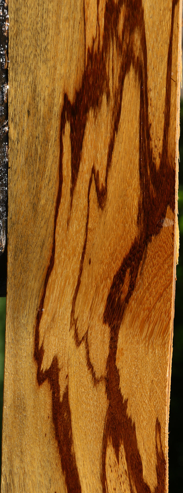Figured Marblewood Lumber