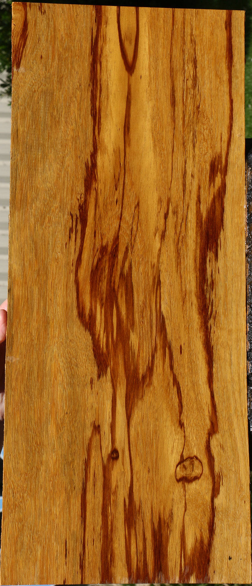 Marblewood Instrument Lumber