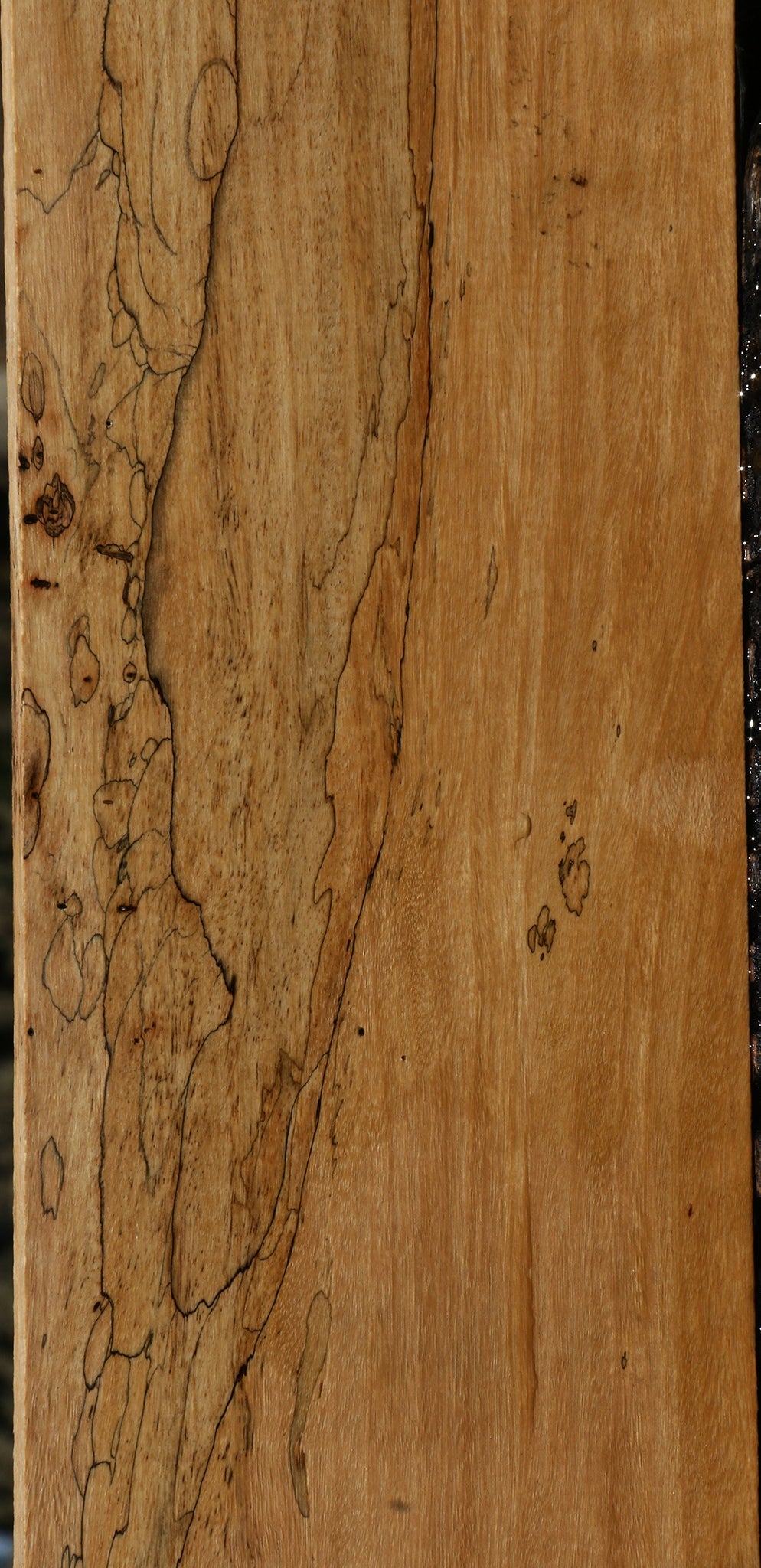 Figured Spalted Tamarind Lumber