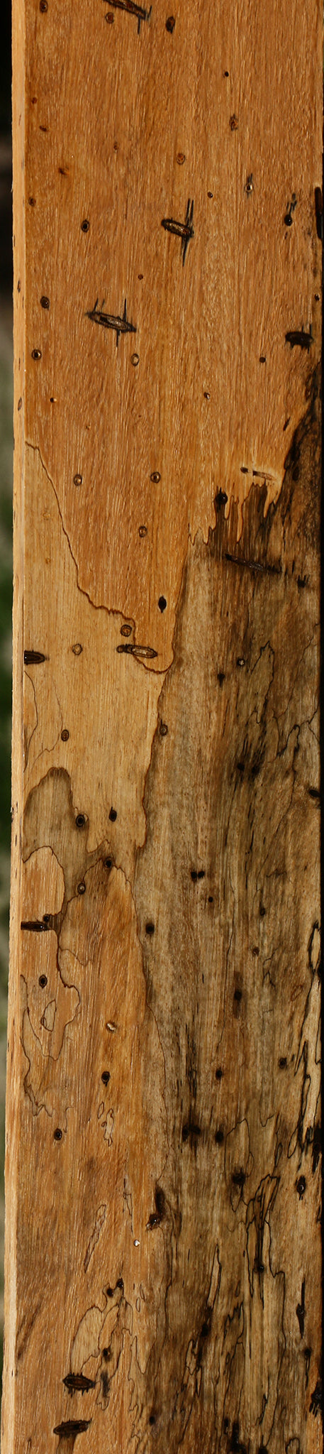 Figured Spalted Tamarind Lumber