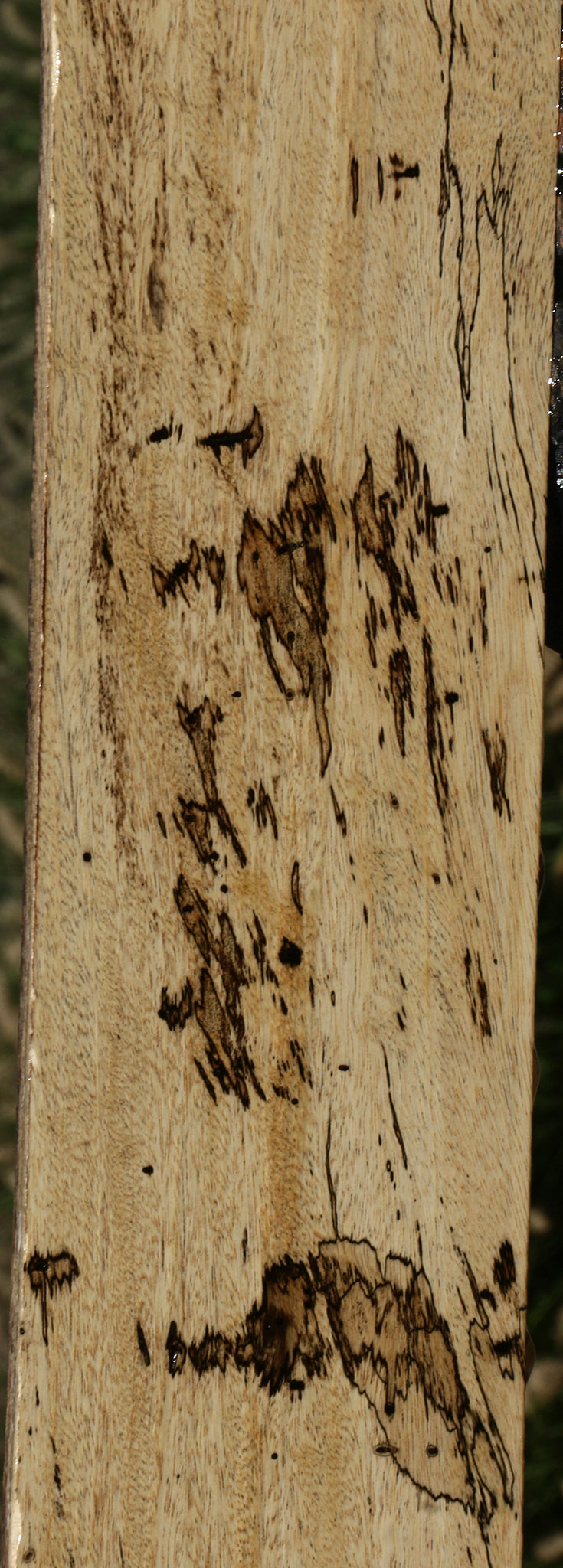Figured Spalted Tamarind Lumber