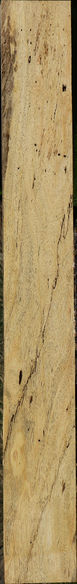 Figured Spalted Tamarind Lumber