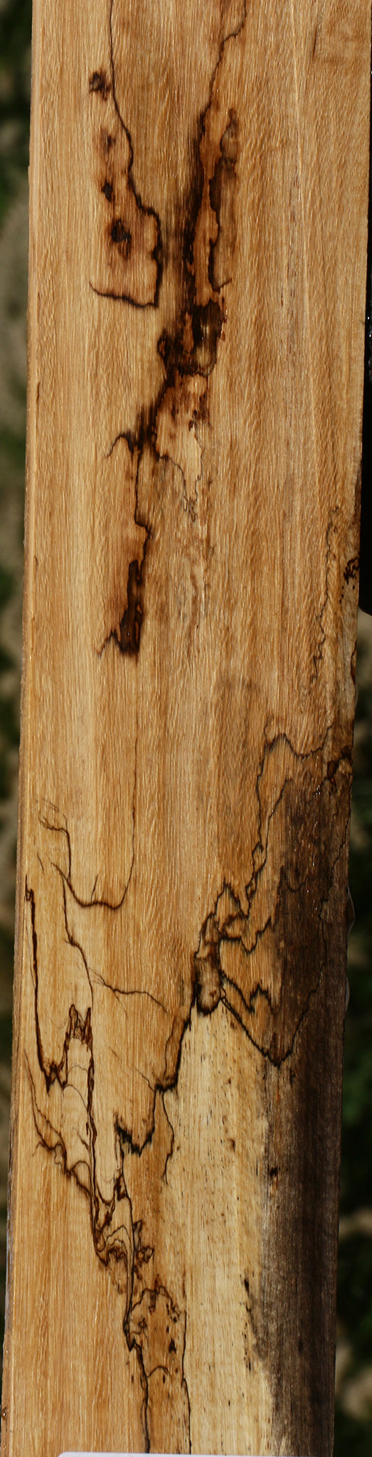 Figured Spalted Tamarind Lumber