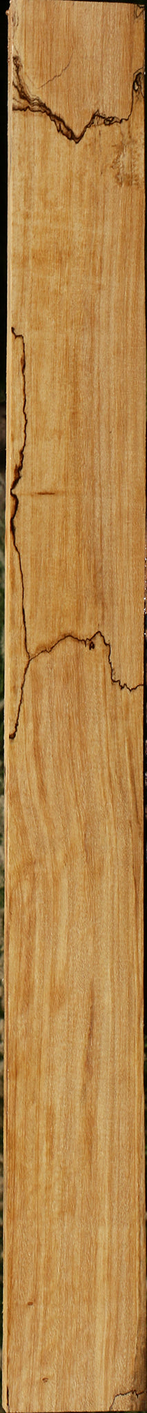 Figured Spalted Tamarind Lumber