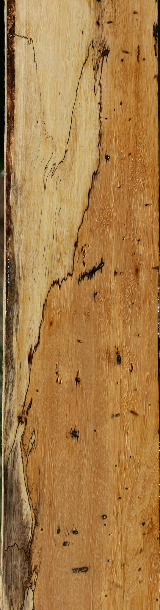 Spalted Tamarind Lumber