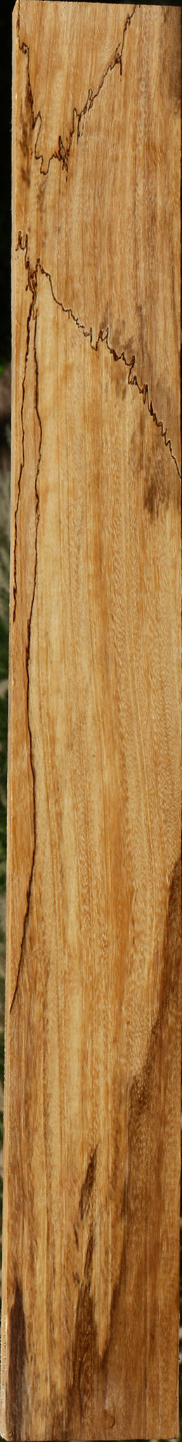 Figured Spalted Tamarind Lumber