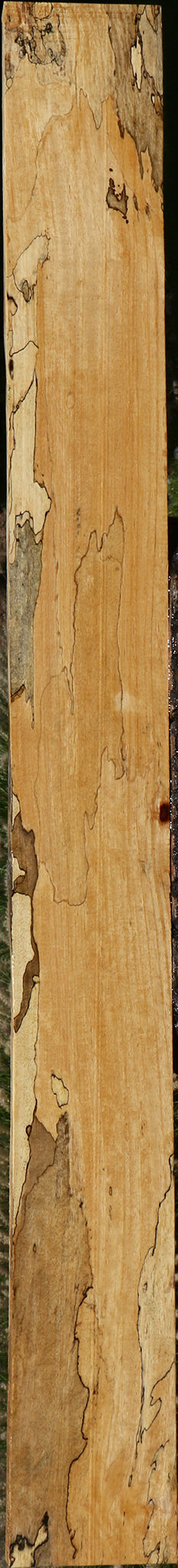 Figured Spalted Tamarind Lumber