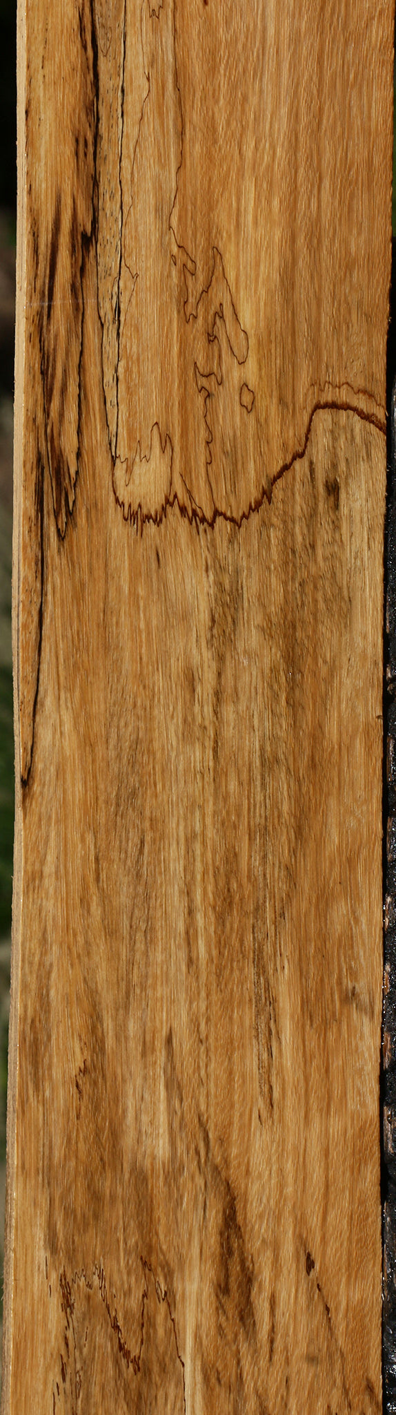 Spalted Tamarind Lumber