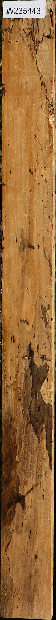 Spalted Tamarind Lumber