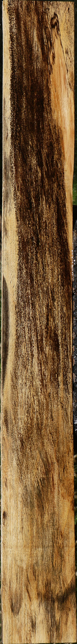 Spalted Tamarind Lumber