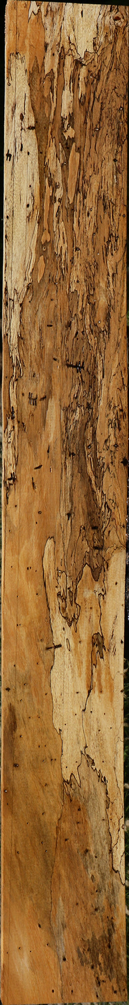 Extra Fancy Spalted Tamarind Lumber