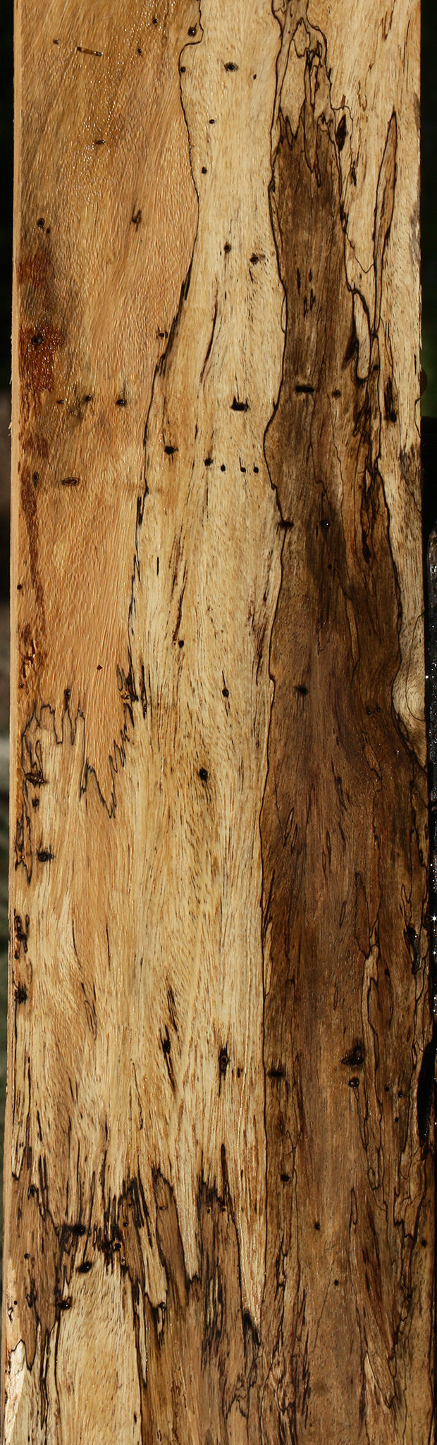 Extra Fancy Spalted Tamarind Lumber