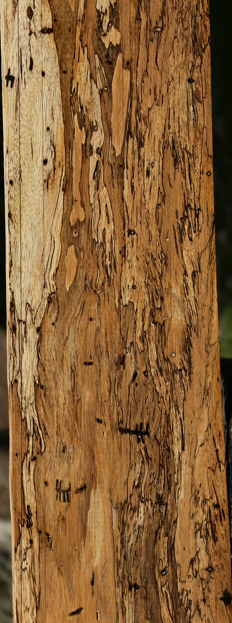 Extra Fancy Spalted Tamarind Lumber
