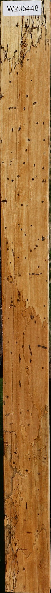 Spalted Tamarind Lumber