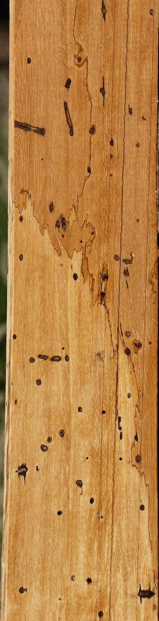 Spalted Tamarind Lumber