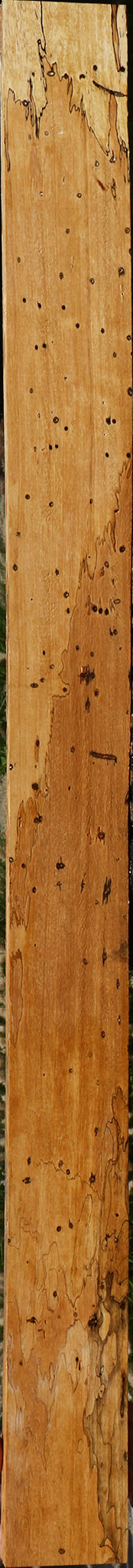 Spalted Tamarind Lumber