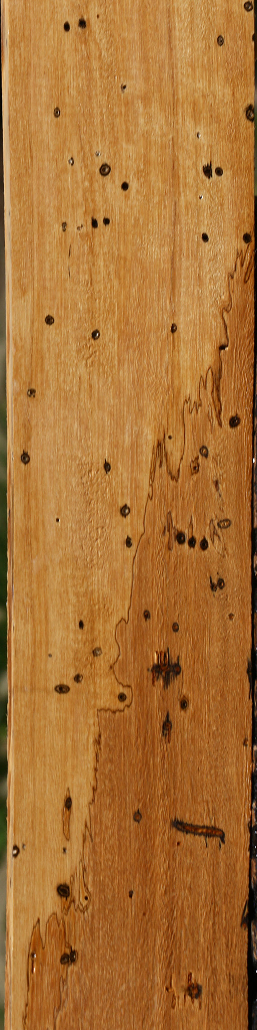 Spalted Tamarind Lumber