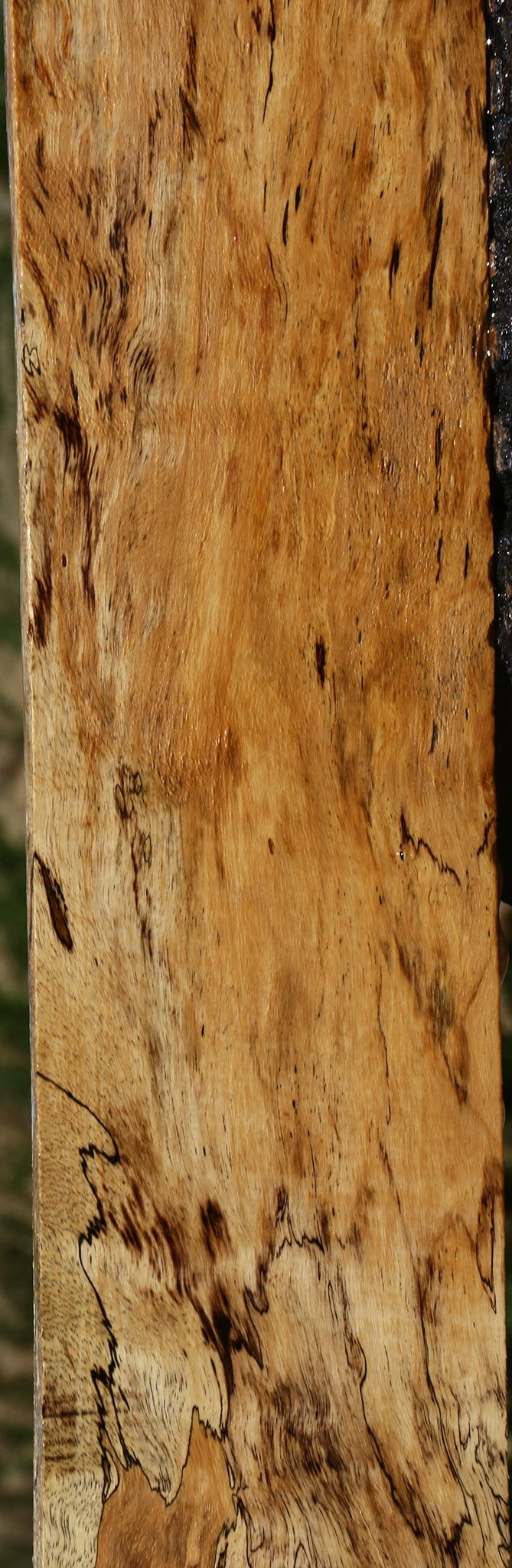 Figured Spalted Tamarind Lumber