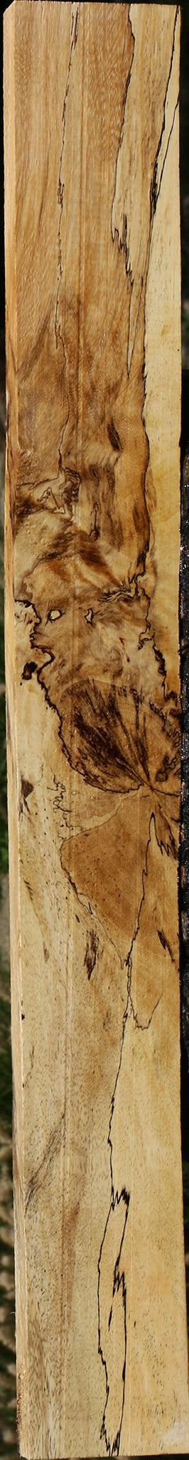 Extra Fancy Spalted Tamarind Lumber