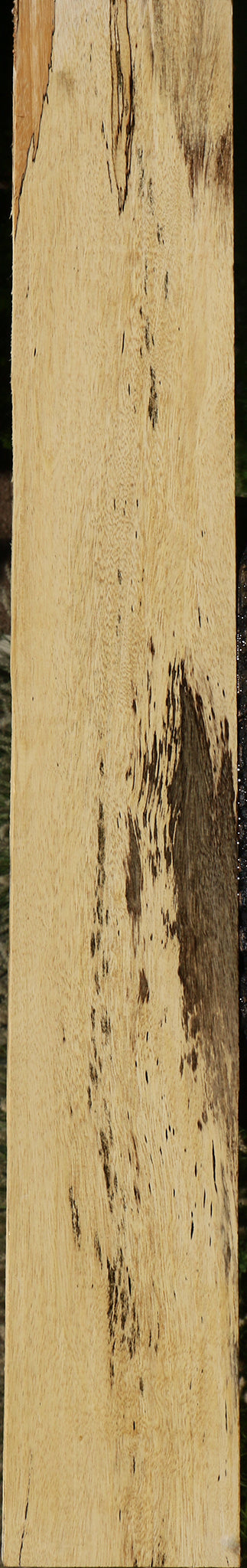 Spalted Tamarind Lumber