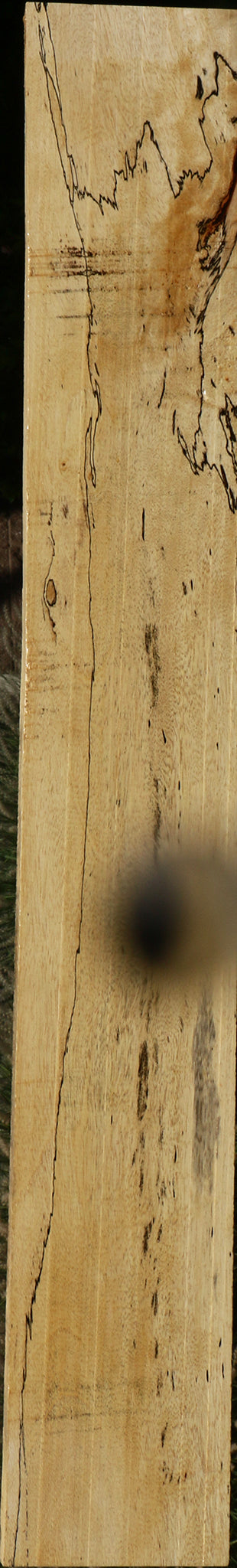 Spalted Tamarind Lumber