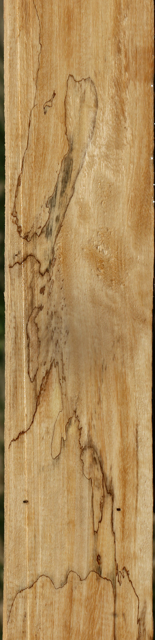 Spalted Tamarind Lumber