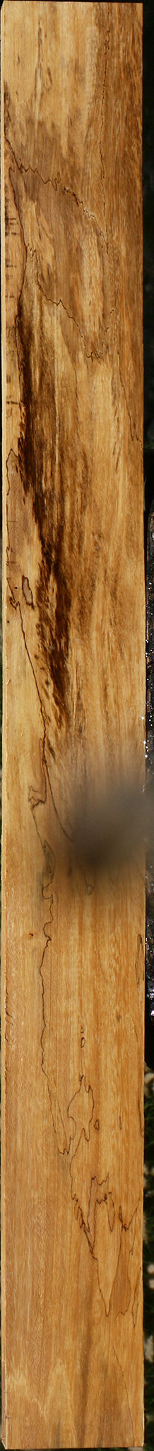 Spalted Tamarind Lumber