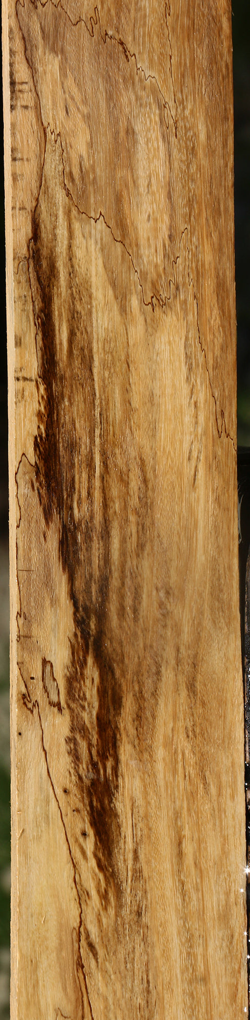 Spalted Tamarind Lumber