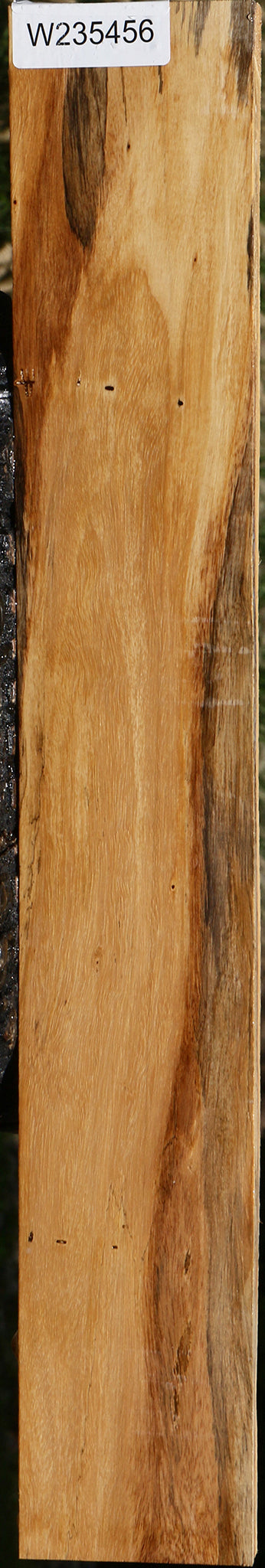 Spalted Tamarind Lumber