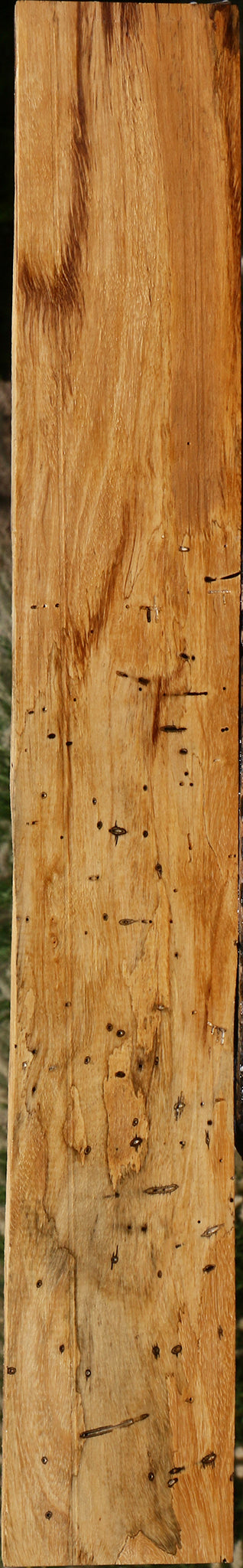 Spalted Tamarind Lumber