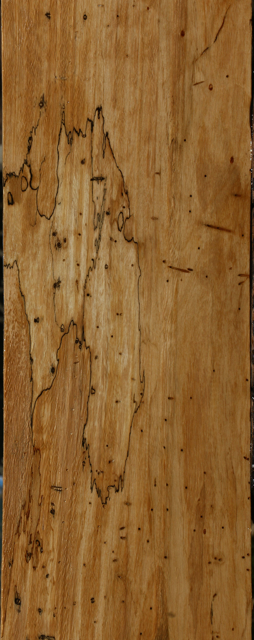 Spalted Tamarind Lumber