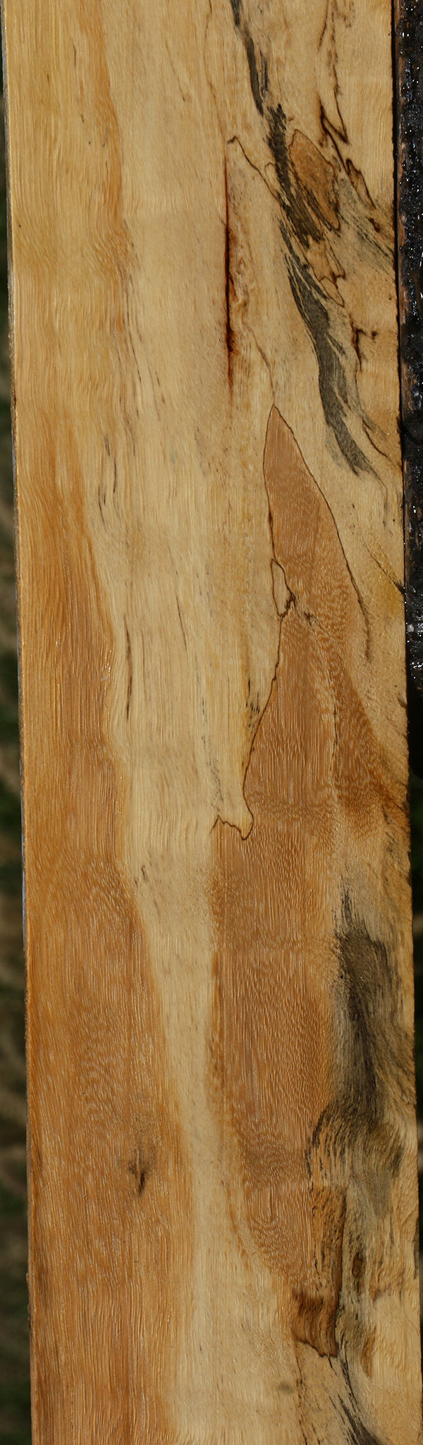 Spalted Tamarind Lumber