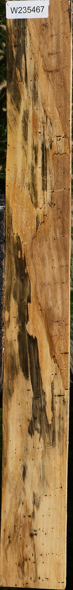 Figured Spalted Tamarind Lumber